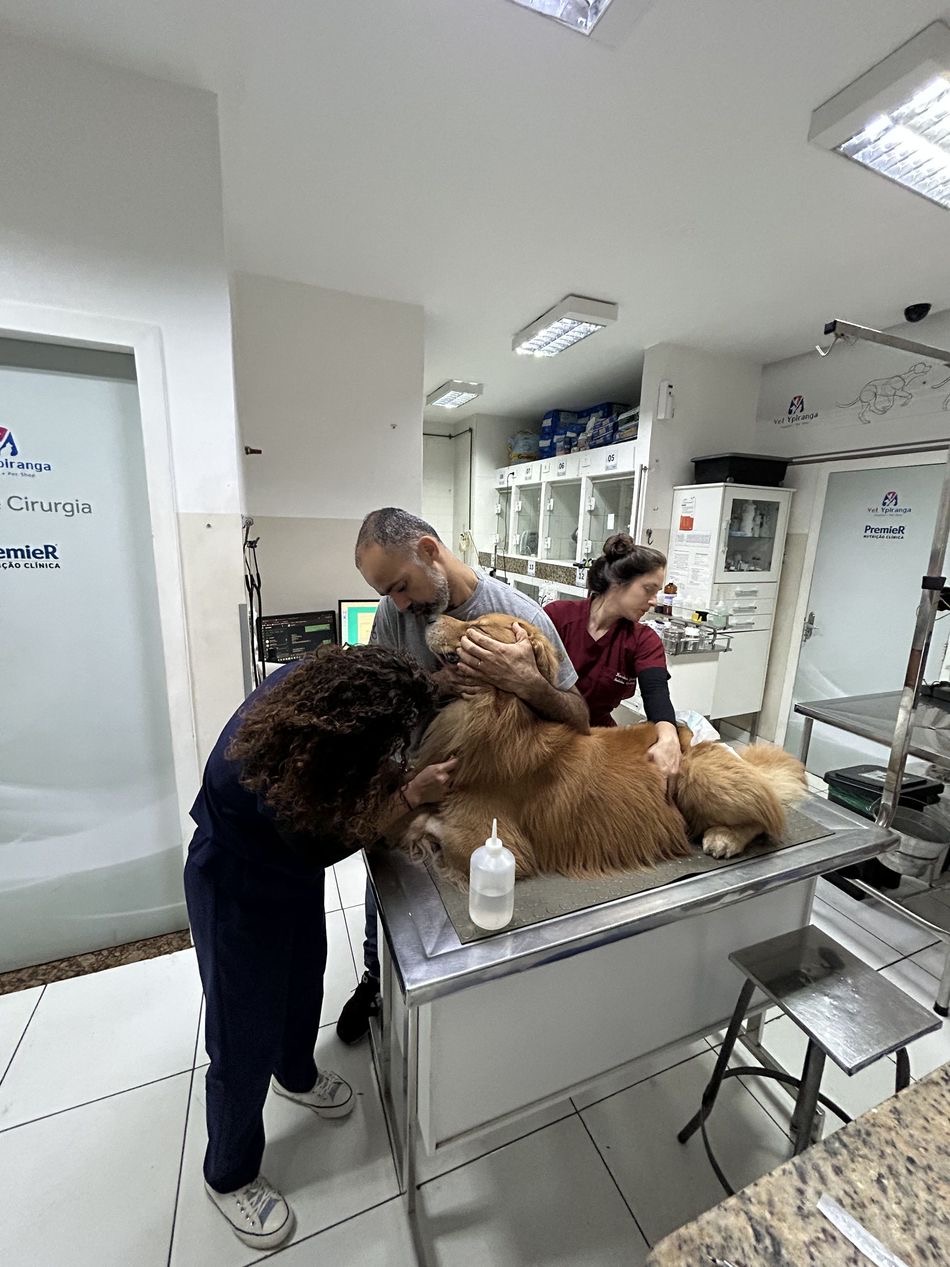 Clínica My Vet