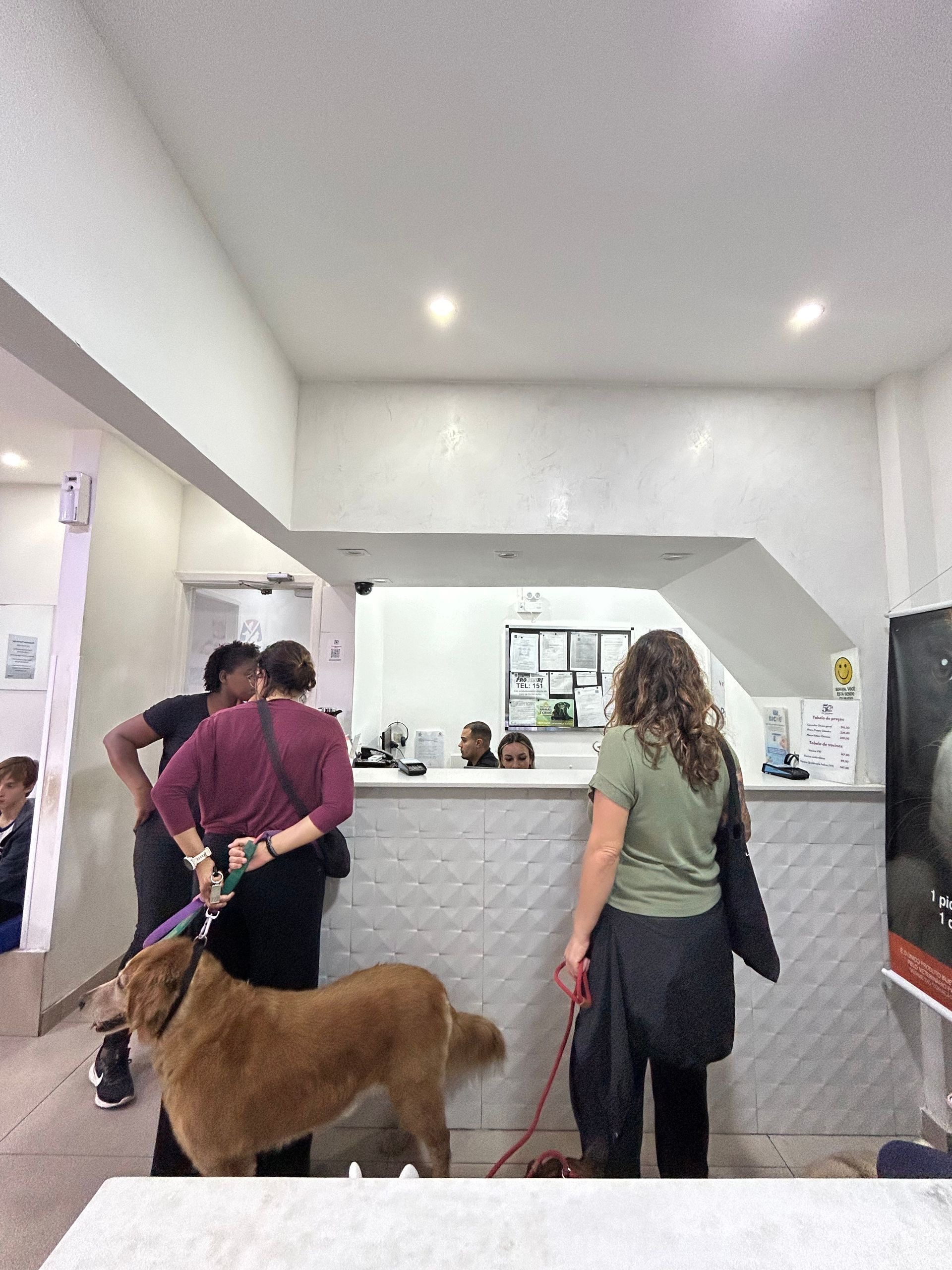 Clínica My Vet