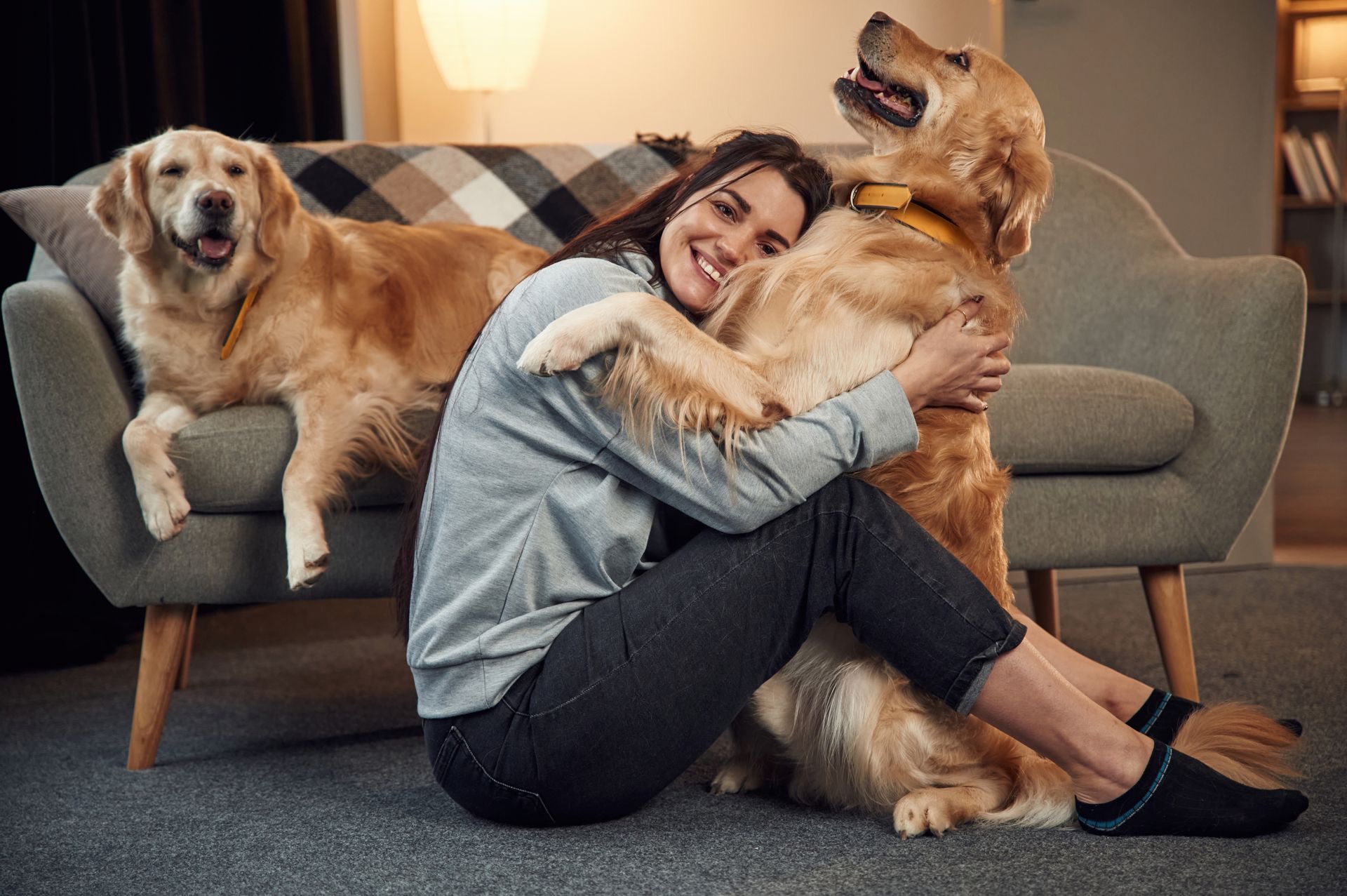 Tutora com seus pets